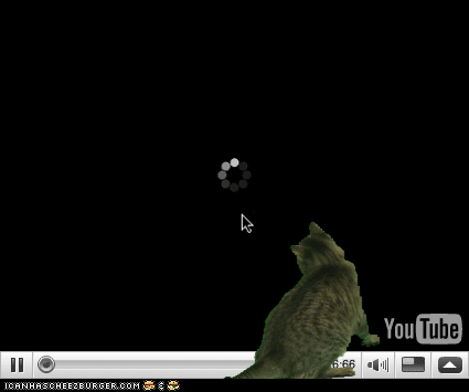 Giphy That cat is eating up all your data.